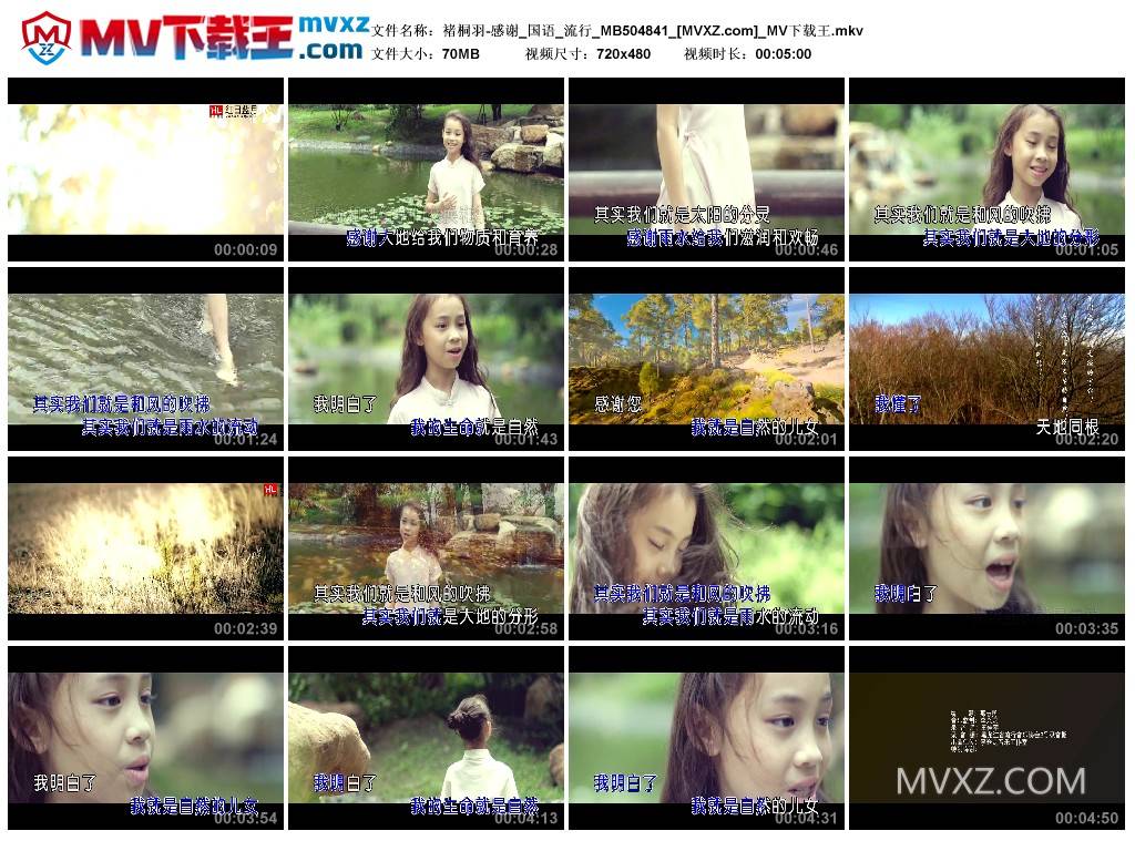 褚桐羽-感谢_国语_流行_MB504841